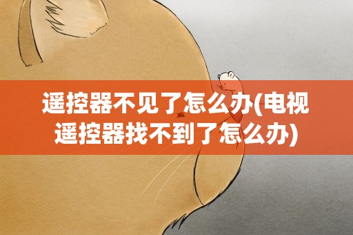 遥控器不见了怎么办(电视遥控器找不到了怎么办)