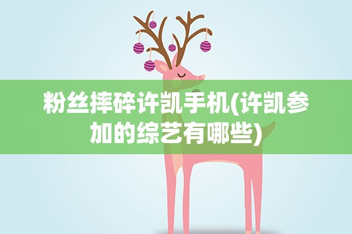 粉丝摔碎许凯手机(许凯参加的综艺有哪些)