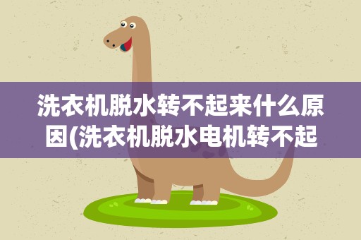 洗衣机脱水转不起来什么原因(洗衣机脱水电机转不起来怎么回事)