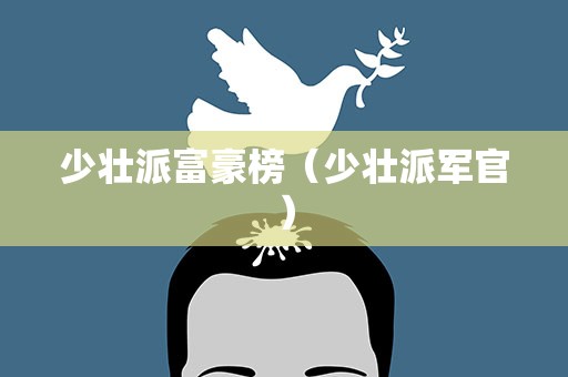 少壮派富豪榜（少壮派军官）