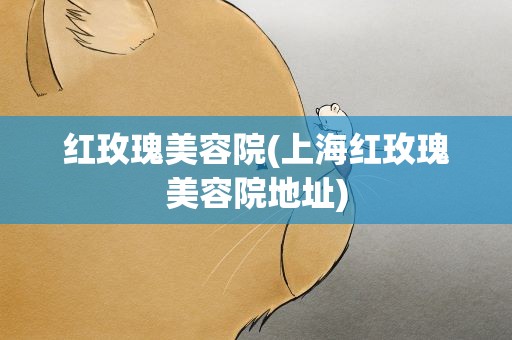 红玫瑰美容院(上海红玫瑰美容院地址)