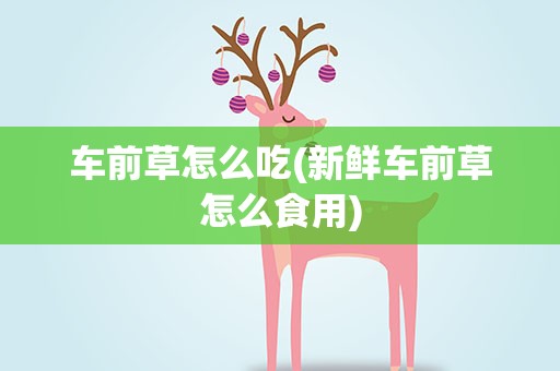 车前草怎么吃(新鲜车前草怎么食用)