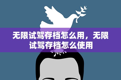 无限试驾存档怎么用，无限试驾存档怎么使用