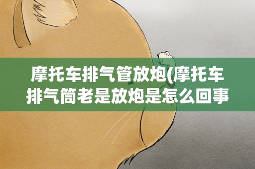 摩托车排气管放炮(摩托车排气筒老是放炮是怎么回事)
