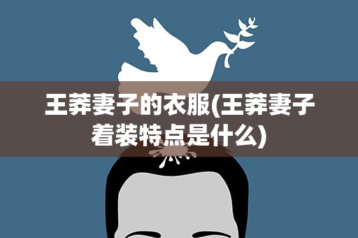 王莽妻子的衣服(王莽妻子着装特点是什么)