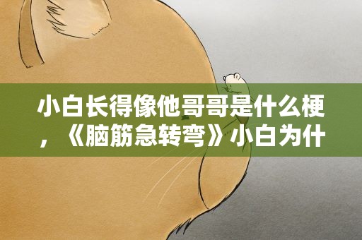 小白长得像他哥哥是什么梗，《脑筋急转弯》小白为什么那么像他的哥哥呢打一个成语