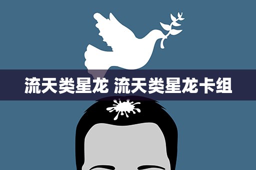 流天类星龙 流天类星龙卡组