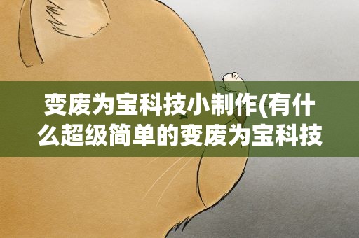 变废为宝科技小制作(有什么超级简单的变废为宝科技小制作)