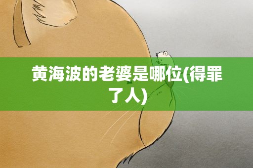 黄海波的老婆是哪位(得罪了人)