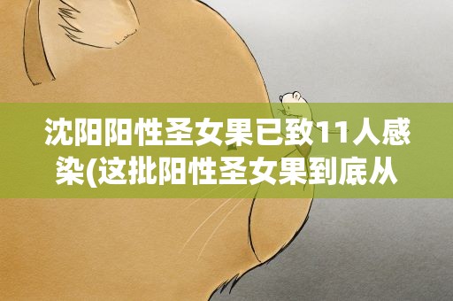 沈阳阳性圣女果已致11人感染(这批阳性圣女果到底从而来)