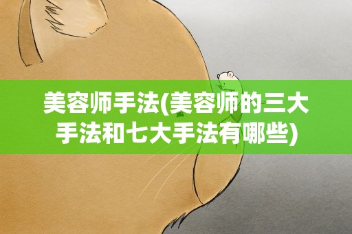 美容师手法(美容师的三大手法和七大手法有哪些)