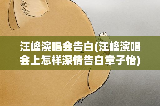 汪峰演唱会告白(汪峰演唱会上怎样深情告白章子怡)