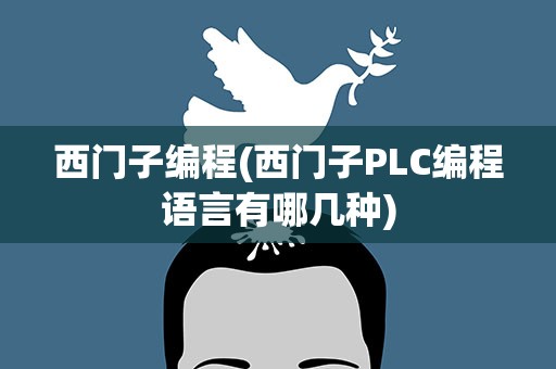 西门子编程(西门子PLC编程语言有哪几种)