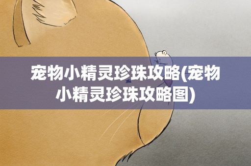 宠物小精灵珍珠攻略(宠物小精灵珍珠攻略图)