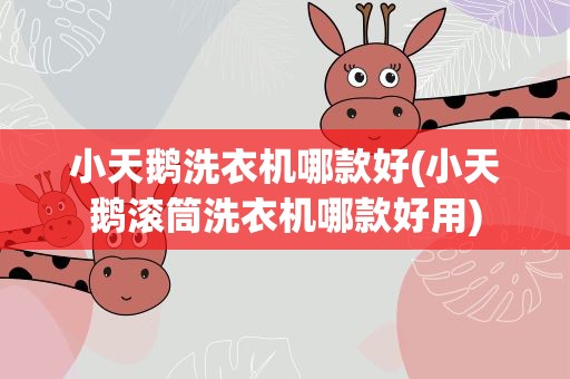 小天鹅洗衣机哪款好(小天鹅滚筒洗衣机哪款好用)