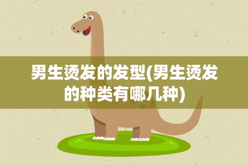 男生烫发的发型(男生烫发的种类有哪几种)