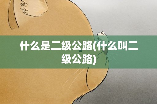 什么是二级公路(什么叫二级公路)