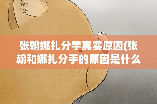 张翰娜扎分手真实原因(张翰和娜扎分手的原因是什么)