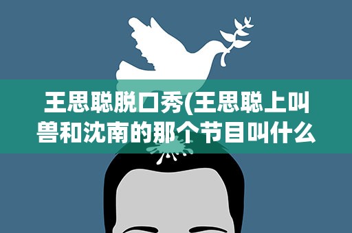 王思聪脱口秀(王思聪上叫兽和沈南的那个节目叫什么)