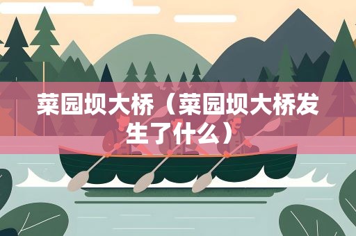 菜园坝大桥（菜园坝大桥发生了什么）