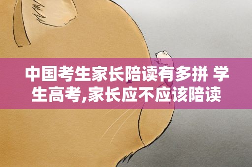 中国考生家长陪读有多拼 学生高考,家长应不应该陪读