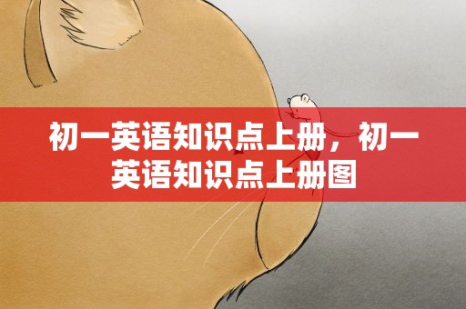 初一英语知识点上册，初一英语知识点上册图