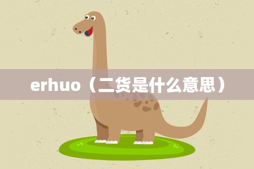 erhuo（二货是什么意思）
