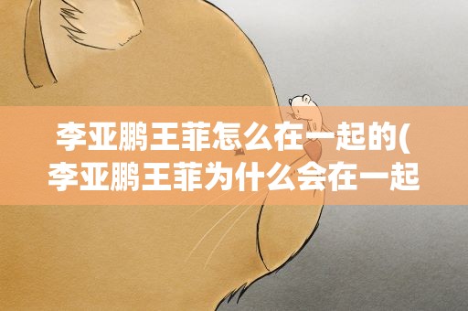 李亚鹏王菲怎么在一起的(李亚鹏王菲为什么会在一起)