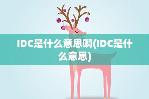 IDC是什么意思啊(IDC是什么意思)