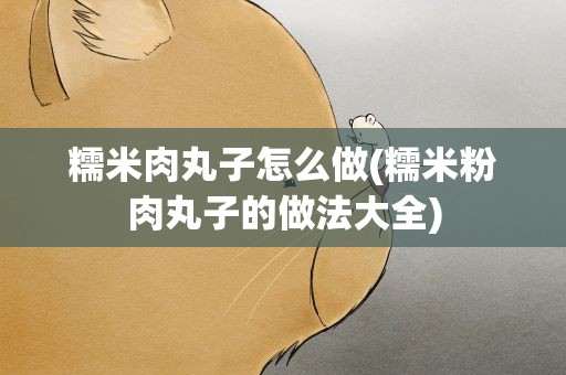 糯米肉丸子怎么做(糯米粉肉丸子的做法大全)