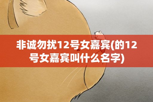 非诚勿扰12号女嘉宾(的12号女嘉宾叫什么名字)