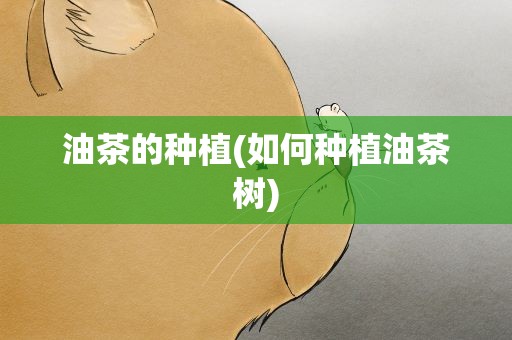 油茶的种植(如何种植油茶树)