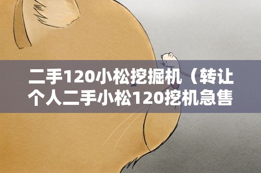 二手120小松挖掘机（转让个人二手小松120挖机急售）