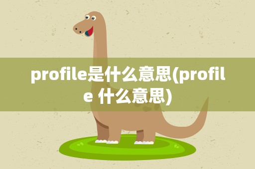 profile是什么意思(profile 什么意思)