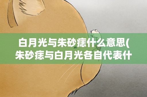 白月光与朱砂痣什么意思(朱砂痣与白月光各自代表什么意思)
