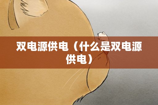 双电源供电（什么是双电源供电）