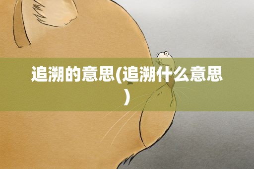 追溯的意思(追溯什么意思)