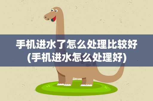 手机进水了怎么处理比较好(手机进水怎么处理好)