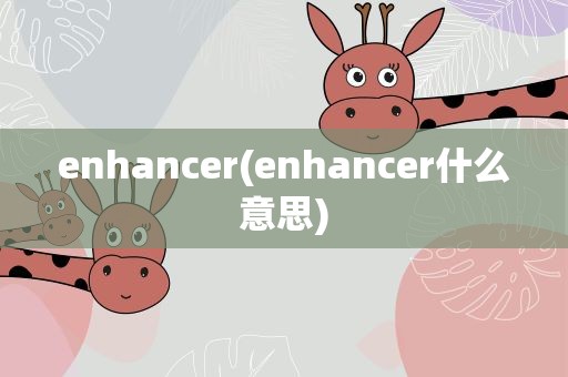 enhancer(enhancer什么意思)