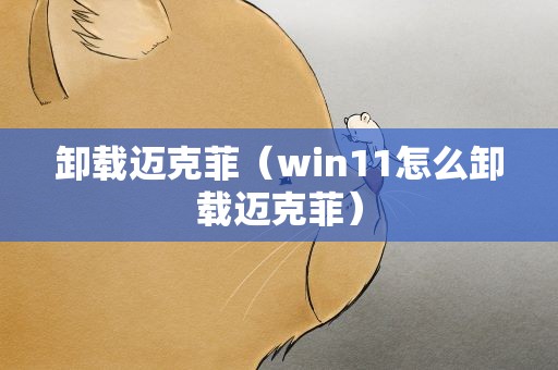 卸载迈克菲（win11怎么卸载迈克菲）