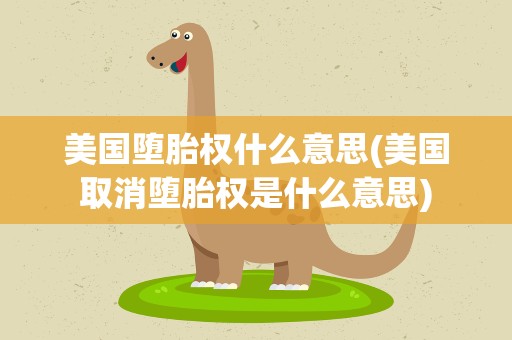 美国堕胎权什么意思(美国取消堕胎权是什么意思)