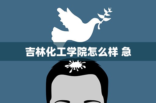 吉林化工学院怎么样 急