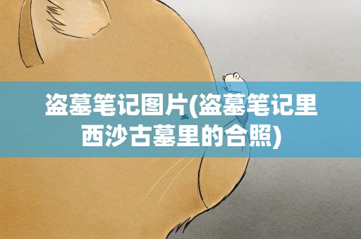 盗墓笔记图片(盗墓笔记里西沙古墓里的合照)