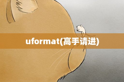 uformat(高手请进)