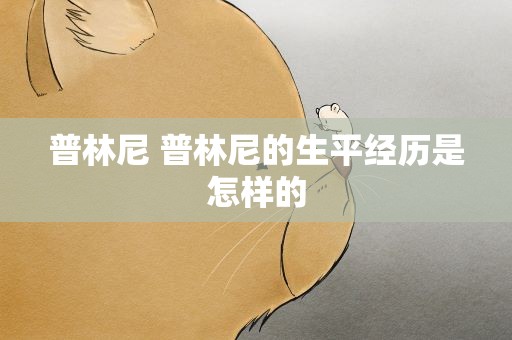 普林尼 普林尼的生平经历是怎样的