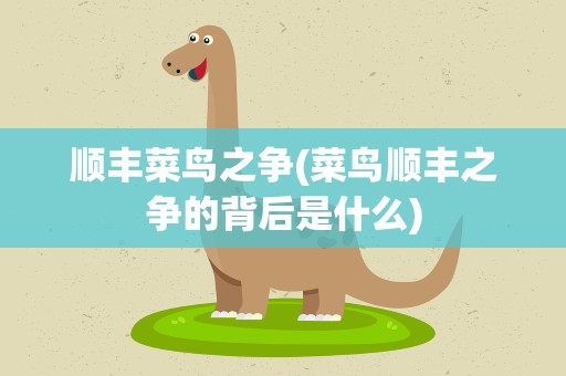 顺丰菜鸟之争(菜鸟顺丰之争的背后是什么)