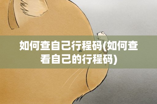 如何查自己行程码(如何查看自己的行程码)