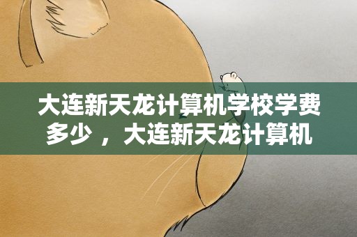 大连新天龙计算机学校学费多少 ，大连新天龙计算机学校学费多少