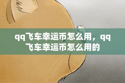 qq飞车幸运币怎么用，qq飞车幸运币怎么用的