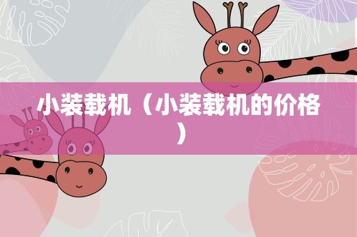 小装载机（小装载机的价格）